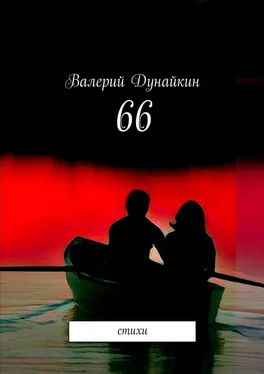 Валерий Дунайкин 66. Стихи обложка книги