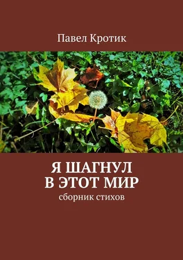 Павел Кротик Я шагнул в этот мир. Сборник стихов обложка книги