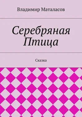 Владимир Маталасов Серебряная Птица обложка книги