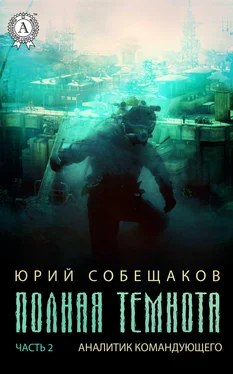 Юрий Собещаков Аналитик командующего обложка книги