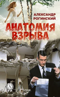 Александр Рогинский Анатомия взрыва обложка книги