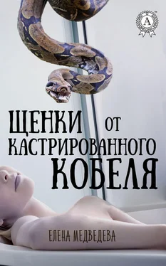 Елена Медведева Щенки от кастрированного кобеля обложка книги