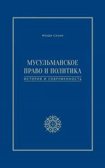 Мехди Санаи - Мусульманское право и политика. История и современность