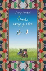 Виктор Астафьев - Деревья растут для всех (сборник)