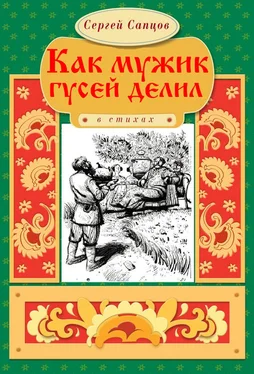 Сергей Сапцов Как мужик гусей делил обложка книги