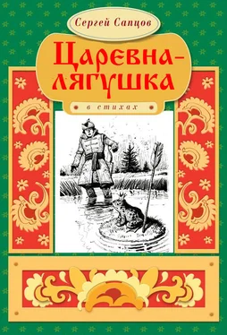 Сергей Сапцов Царевна-лягушка обложка книги