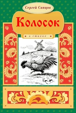 Сергей Сапцов Колосок обложка книги