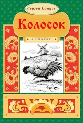 Сергей Сапцов - Колосок