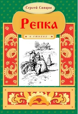 Сергей Сапцов Репка обложка книги