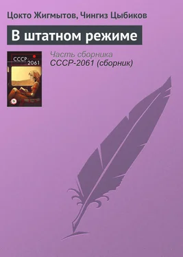 Цокто Жигмытов В штатном режиме обложка книги