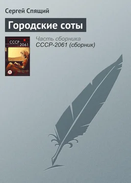 Сергей Спящий Городские соты обложка книги