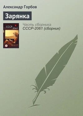 Александр Горбов Зарянка обложка книги