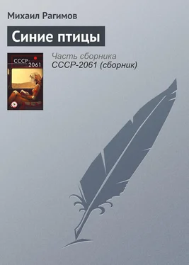 Михаил Рагимов Синие птицы обложка книги