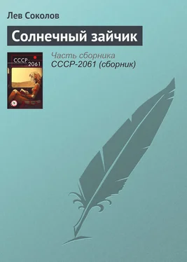 Лев Соколов Солнечный зайчик обложка книги