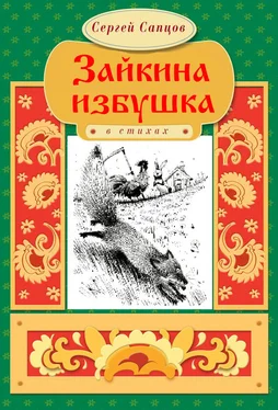 Сергей Сапцов Зайкина избушка обложка книги