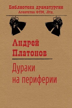 Андрей Платонов Дураки на периферии обложка книги