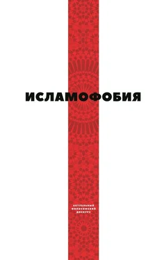 Array Коллектив авторов Исламофобия обложка книги