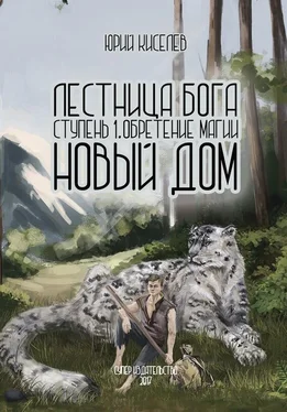 Юрий Киселев Лестница бога. Ступень 1. Обретение магии. Новый дом обложка книги