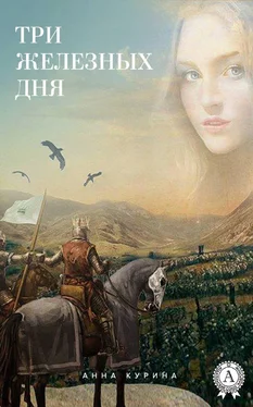Анна Курина Три железных дня обложка книги
