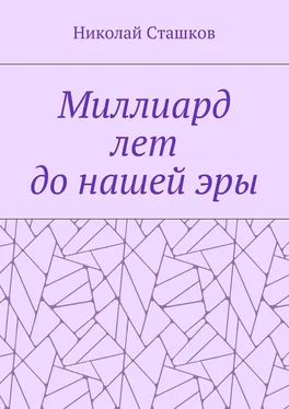 Николай Сташков Миллиард лет до нашей эры обложка книги