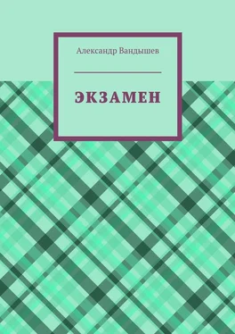 Александр Вандышев Экзамен обложка книги