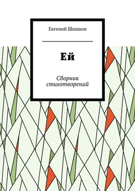 Евгений Шишков Ей. Сборник стихотворений обложка книги