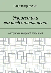 Владимир Кучин - Энергетика жизнедеятельности. Алгоритмы цифровой вселенной
