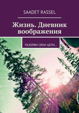 Saadet Rassel Жизнь. Дневник воображения. Разорви свои цепи… обложка книги