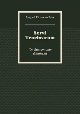 Андрей Зуев Servi Tenebrarum. Средневековое фэнтези обложка книги