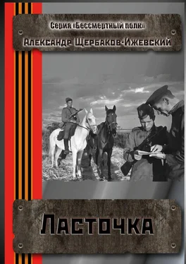 Александр Щербаков-Ижевский Ласточка. Серия «Бессмертный полк» обложка книги