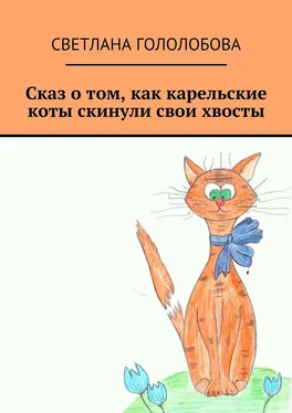 Светлана Гололобова Сказ о том, как карельские коты скинули свои хвосты обложка книги