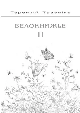 Терентiй Травнiкъ Белокнижье. Собрание сочинений в 4-х томах. Том 2 обложка книги