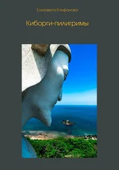 Елизавета Епифанова - Киборги-пилигримы