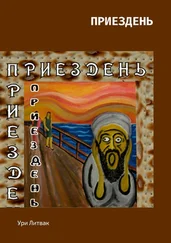 Ури Литвак - Приездень