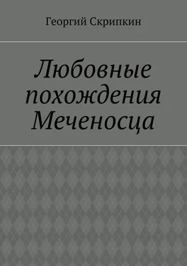 Георгий Скрипкин Любовные похождения Меченосца обложка книги