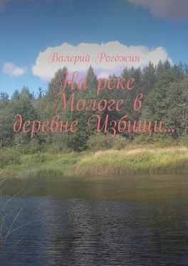 Валерий Рогожин На реке Мологе в деревне Избищи… обложка книги