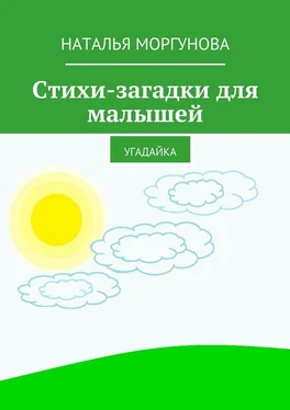 Наталья Моргунова Стихи-загадки для малышей. Угадайка обложка книги