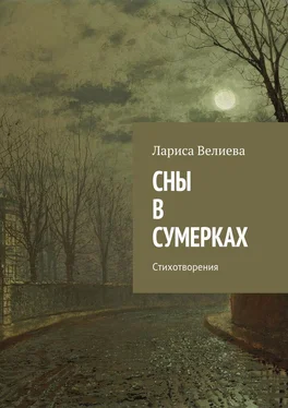 Лариса Велиева Сны в сумерках. Стихотворения обложка книги