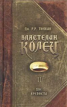 Джон Толкин Две крепости обложка книги