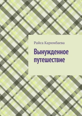 Райса Каримбаева Вынужденное путешествие обложка книги