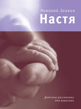 Николай Заикин Настя (сборник) обложка книги