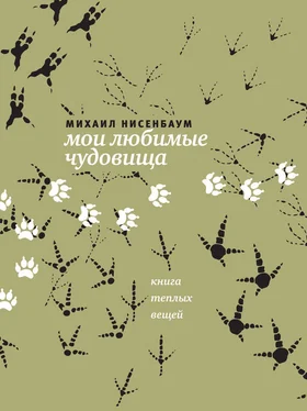 Михаил Нисенбаум Мои любимые чудовища. Книга теплых вещей обложка книги