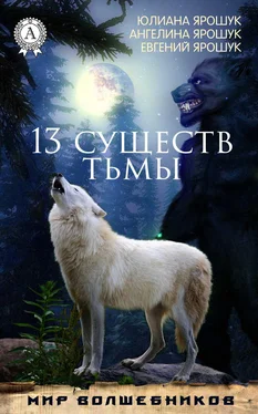 Евгений Ярошук 13 существ тьмы обложка книги