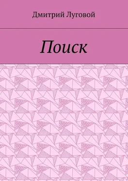 Дмитрий Луговой Поиск обложка книги