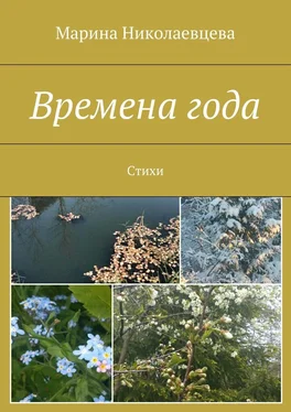 Марина Николаевцева Времена года. Стихи обложка книги