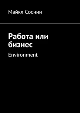 Майкл Соснин Работа или бизнес. Environment обложка книги