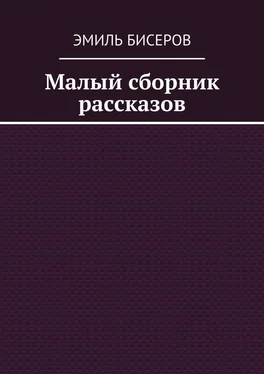 Эмиль Бисеров Малый сборник рассказов обложка книги