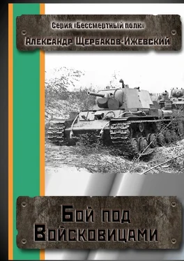 Александр Щербаков-Ижевский Бой под Войсковицами. Серия «Бессмертный полк» обложка книги