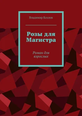 Владимир Козлов Розы для Магистра. Роман для взрослых обложка книги