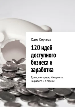 Олег Сергеев 120 идей доступного бизнеса и заработка. Дома, в огороде, Интернете, на работе и в гараже обложка книги